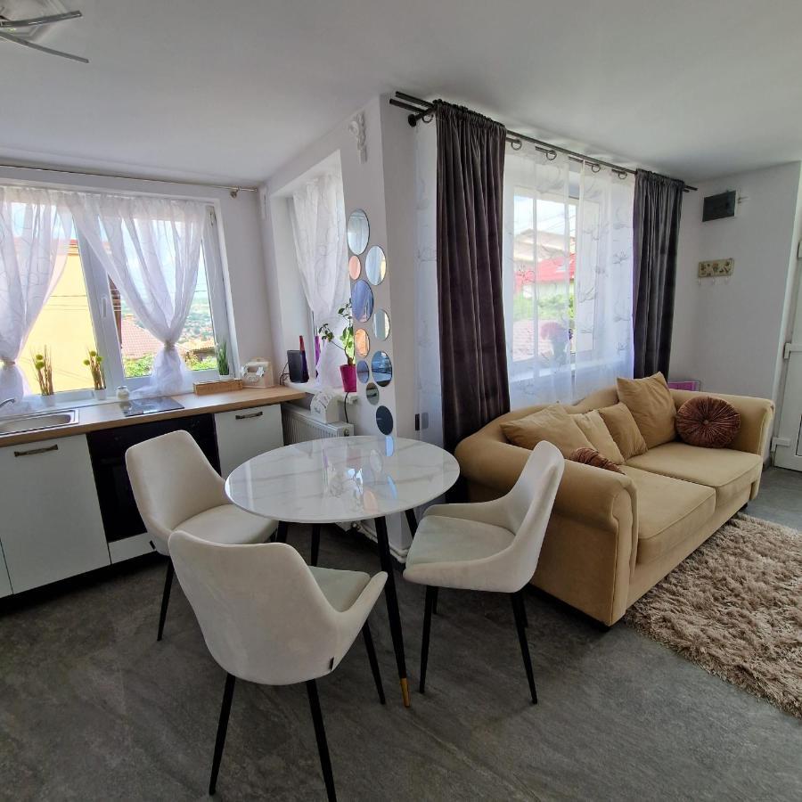 קלוז'-נאפוקה Vila Gruia מראה חיצוני תמונה